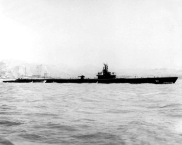 USS Trepang (SS-412) underway off Mare Island Naval Shipyard, California (USA), on 12 July 1944