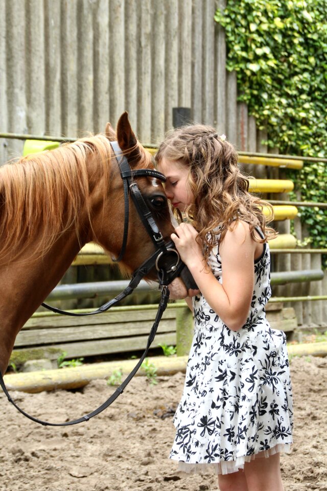 Pony reiter horsewoman