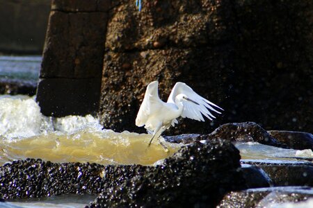 Waterside breakwater wave photo