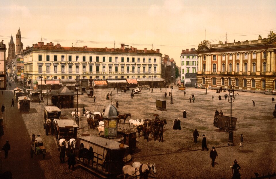 Toulouse place du capitole horses