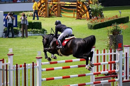 Horses tournament jump photo