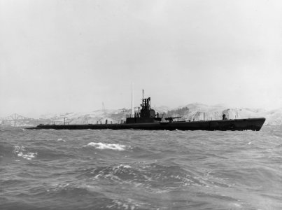 USS Wahoo (SS-238) off the Mare Island Naval Shipyard, California (USA), on 14 July 1943 (19-N-48937)
