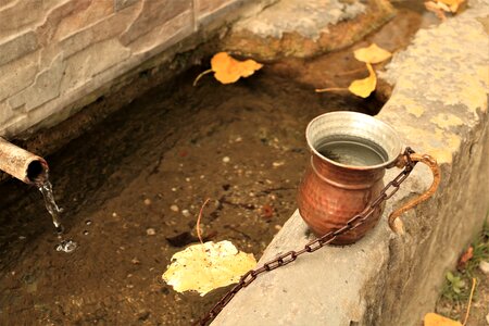Source natural organic