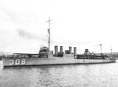 USS William Jones (DD-308) during the 1920s (NH 49966)