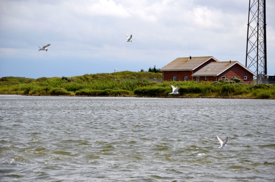 Fjord vacations nature