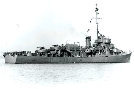 USS Wiseman (DE-667) off Charleston, South Carolina (USA), on 11 January 1945 (19-N-76914)