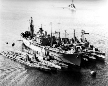 USS Yellowstone (AD-27) at Augusta Bay with destroyers and submarines in 1950 (80-G-428712)