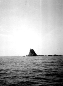 Utanför Punta Gorda, Isla del Rey. Pearl Islands. Panama - SMVK - 004132