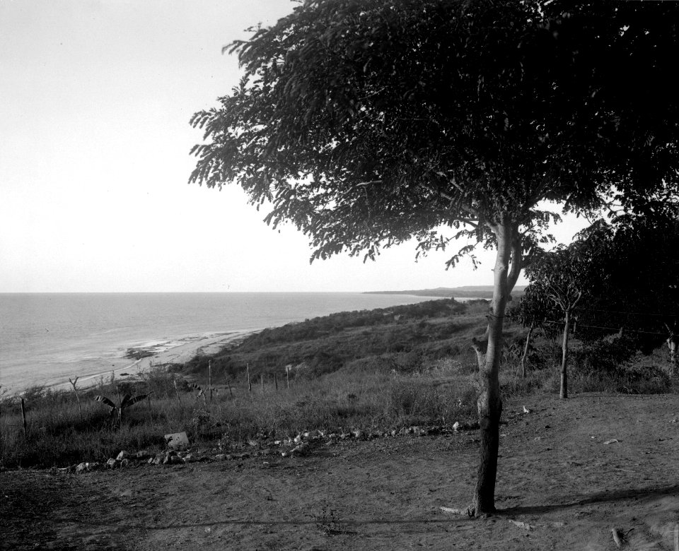 Utsikten åt norr från vårt hus vid Anorombato. Majunga, Mahajanga. Madagaskar - SMVK - 022008