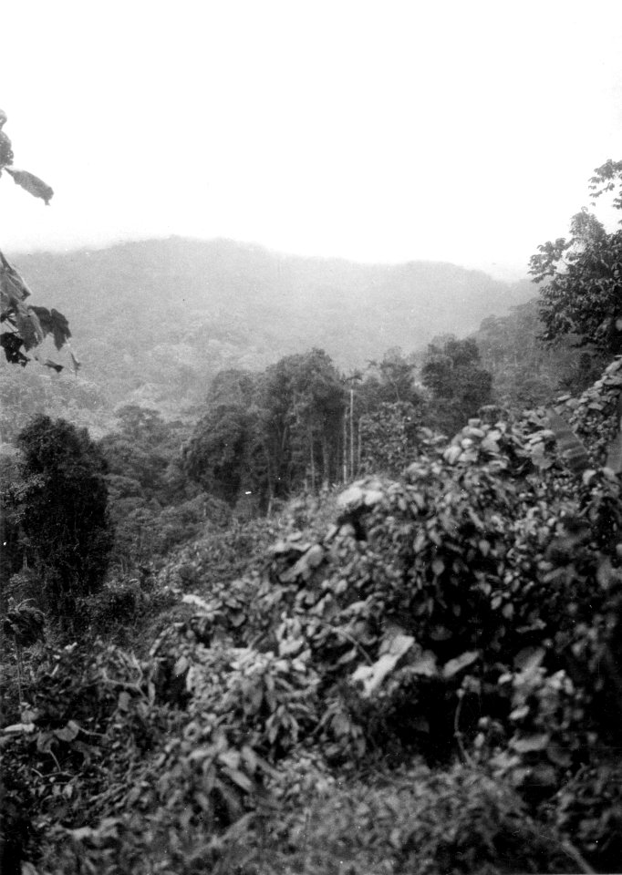 Utsikt i B. indianernas land. Prov. Veraguas, Panamá. Veraguas. Panama - SMVK - 004279