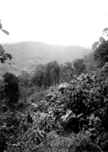 Utsikt i B. indianernas land. Prov. Veraguas, Panamá. Veraguas. Panama - SMVK - 004279