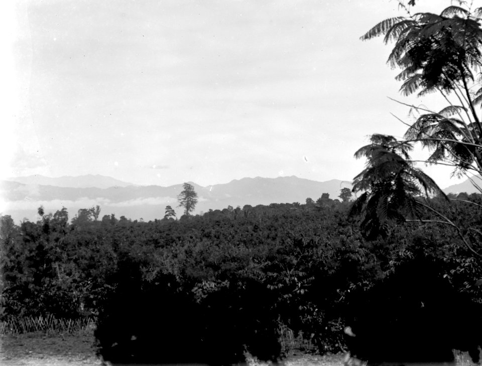 Utsiketen fr. Soumans hus. 1. Modajag. Indonesien - SMVK - 022161