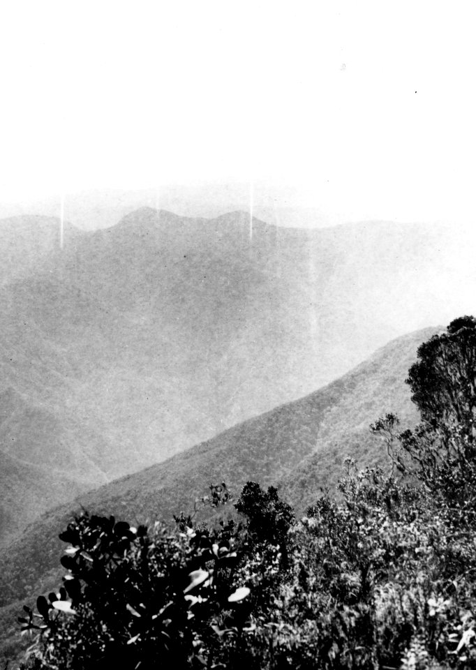 Utsikt från en triangelpunkt. Franz Tamayo Province. Bolivia - SMVK - 002404