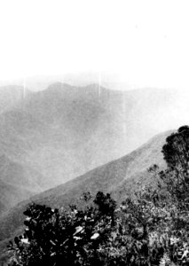 Utsikt från en triangelpunkt. Franz Tamayo Province. Bolivia - SMVK - 002404