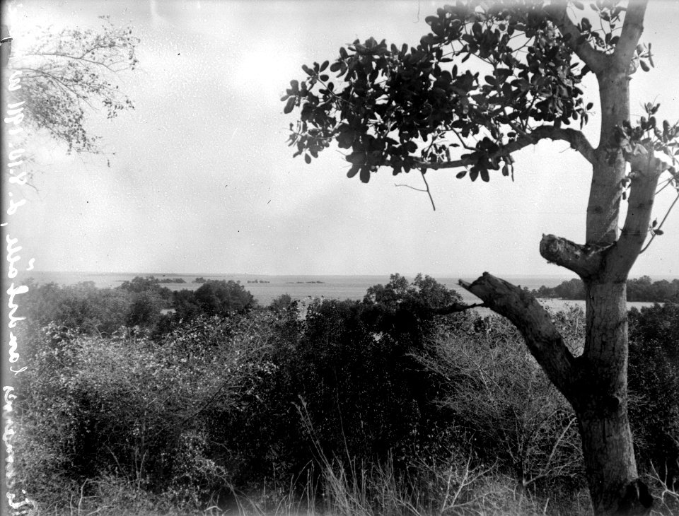 Utsikt vid Richmanns lantställe. Mahajanga, Majunga. Madagaskar - SMVK - 021974