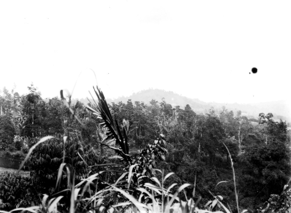 Utsikt över öarna vid Menado. Sulawesi. Indonesien - SMVK - 010687