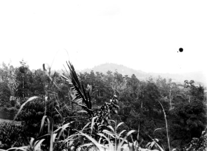 Utsikt över öarna vid Menado. Sulawesi. Indonesien - SMVK - 010687