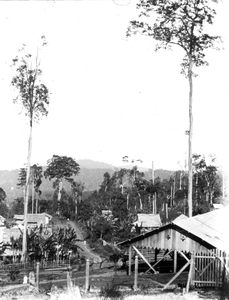 Utsikt över det minahassiska kvarteret. Kabupaten Bolaang Mongondow, Menado, Sulawesi. Indonesien - SMVK - 000227