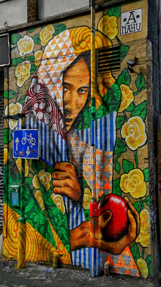 Graffiti lady veil