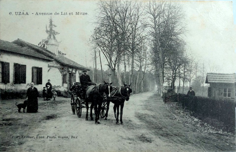 Uza (Landes) - route de Lit-et-Mixe