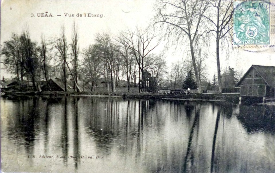 Uza (Landes) - vue sur l'étang 4