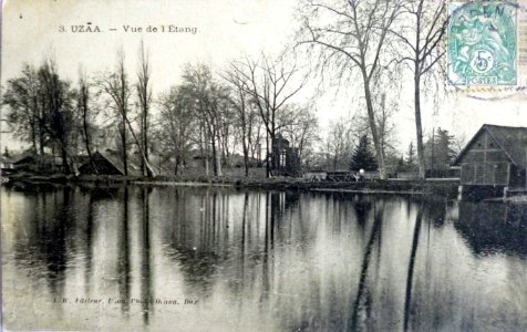 Uza (Landes) - vue sur l'étang 4