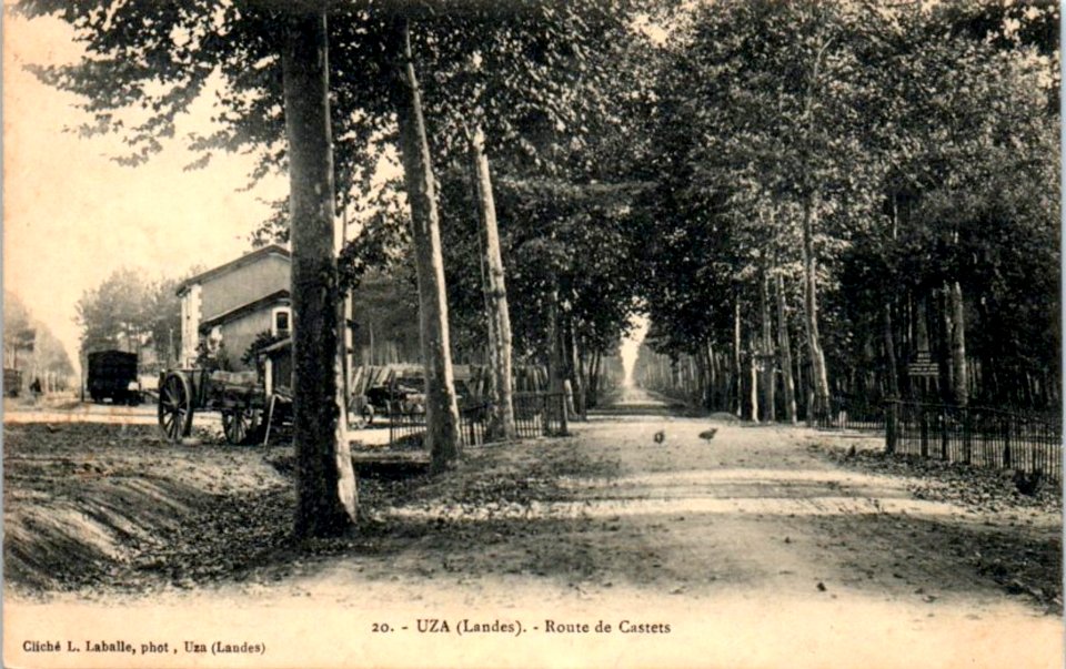 Uza (Landes) - route de Castets 2