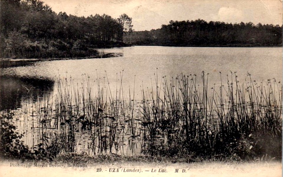 Uza (Landes) - vue sur l'étang 1a