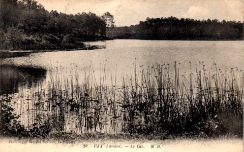Uza (Landes) - vue sur l'étang 1a