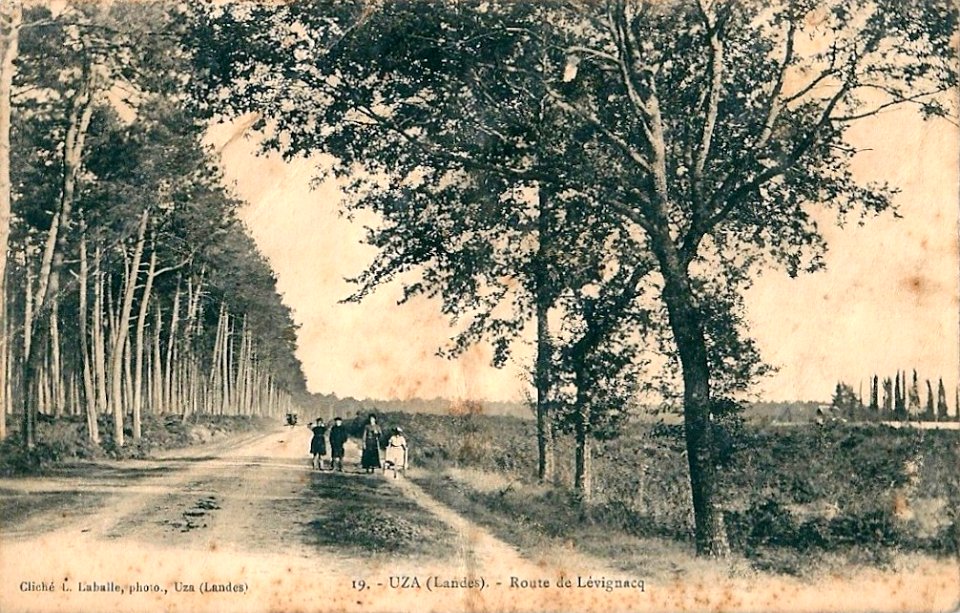 Uza (Landes) - route de Lévignac