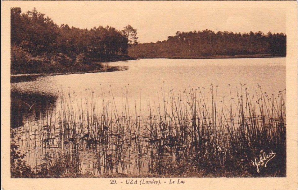 Uza (Landes) - vue sur l'étang 1b