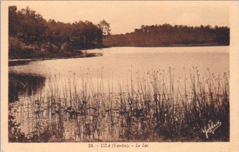 Uza (Landes) - vue sur l'étang 1b
