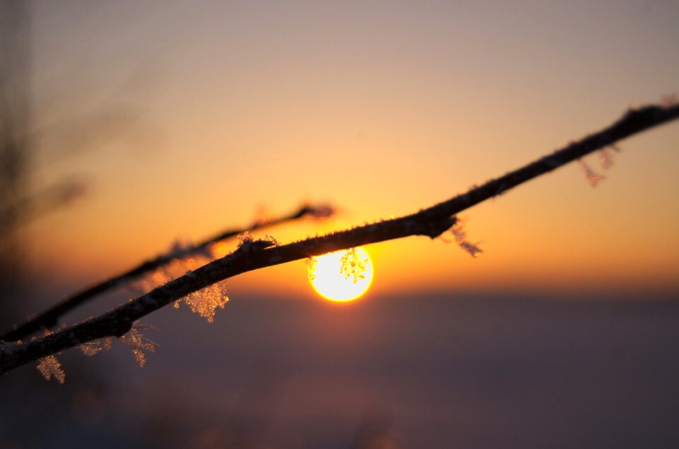 Twilight winter snowflake