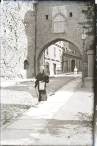 Vaade Suure rannavärave eesväravale, AM N06000