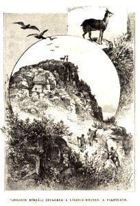 Vadászat kőszáli zergékre a Lőrincz-hegyen, Fokföldön, Vasárnapi Ujság, 1889