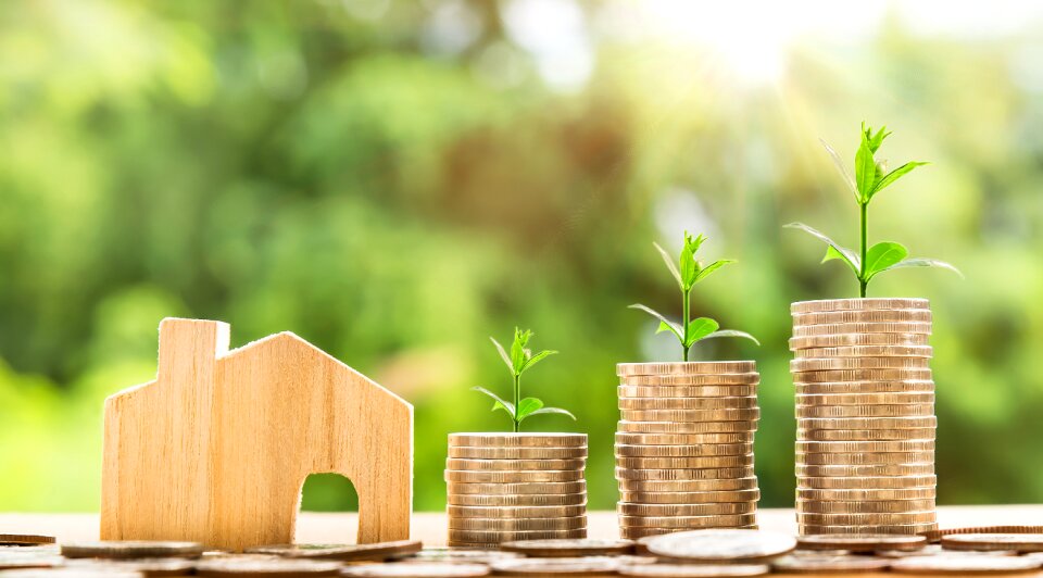 Investment business finance
