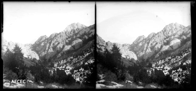 Vall boscosa amb restes de neu i al fons el coll dels Llengots