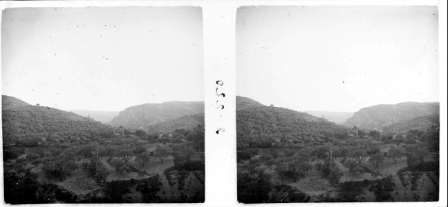 Vall de la Noguera Pallaresa a Sant Oïsme (SaP 550 08)