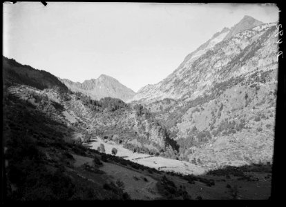 Vall amb alguns camps i boscos al barranc d'Aigües Pases