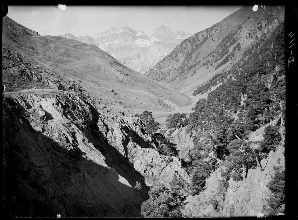 Vall de la Canal Roja amb bosc a una vessant i al fons el pic Tortiellas i els Mallos de Lecherín
