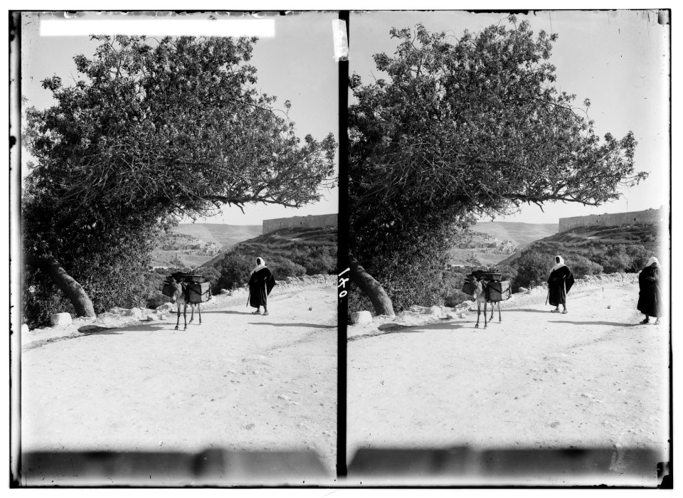 Valleys of Jehoshaphat and Hinnom. Valley of Jehoshaphat (Kedron) (i.e., Kidron) LOC matpc.00928