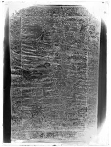 Vallmotapeten - Skoklosters slott - 60196-negative