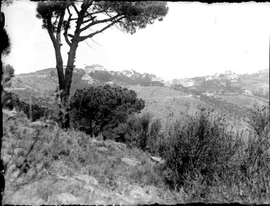 Vallvidrera des del Passeig de les Aigües (AFCEC RIBASV C 2584)