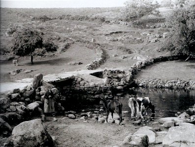 Vallée de l'Ellé vers 1910