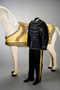 Valtrapp m unionsmärke, valtrapp m ozelotskinn, riduniform - Livrustkammaren - 86537