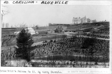Vanderbilt Palace (in backgrd., Biltmore, N.C.) LCCN2003663494