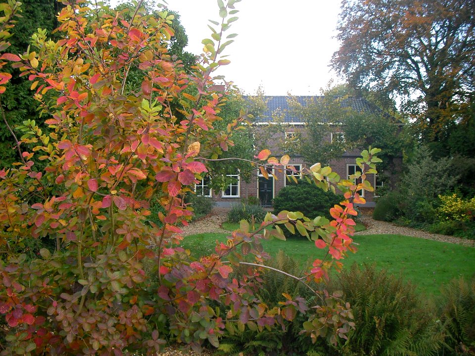 Van Heemstraweg 66 Winssen 2009
