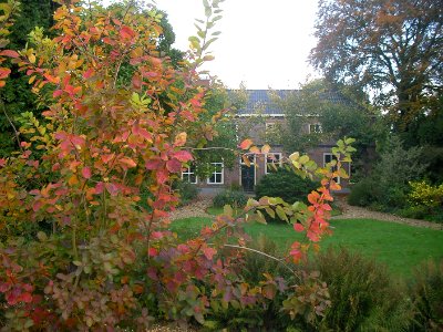 Van Heemstraweg 66 Winssen 2009
