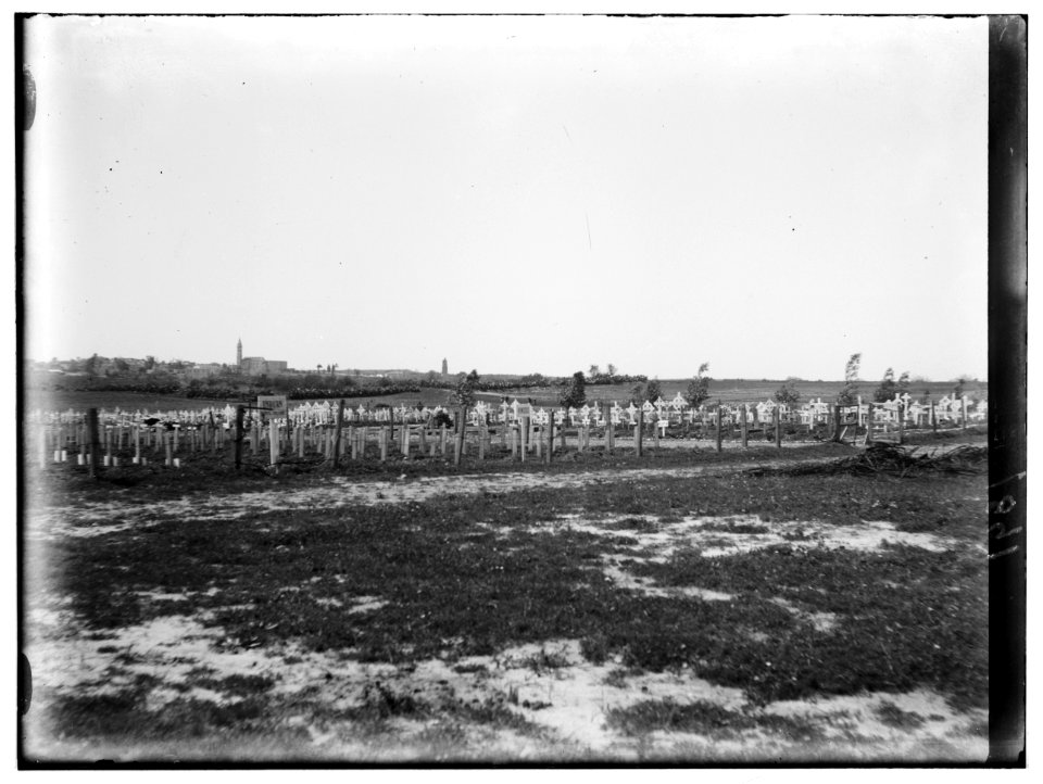 Various results of the war. War cemetery at Ramleh LOC matpc.00177