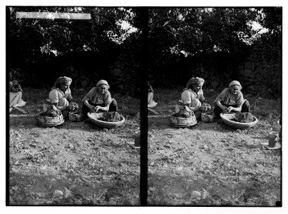 Various types, etc. Kneading the clay. LOC matpc.05642